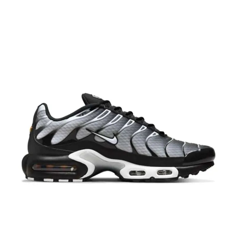 Nike Air Max Plus Smoke Fade