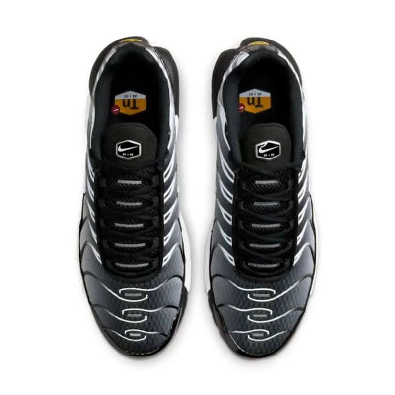Nike Air Max Plus Smoke Fade